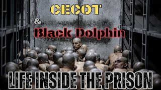 CECOT and Black Dolphin - Hell on Earth Inside  – The World’s Most Terrifying Prisons!