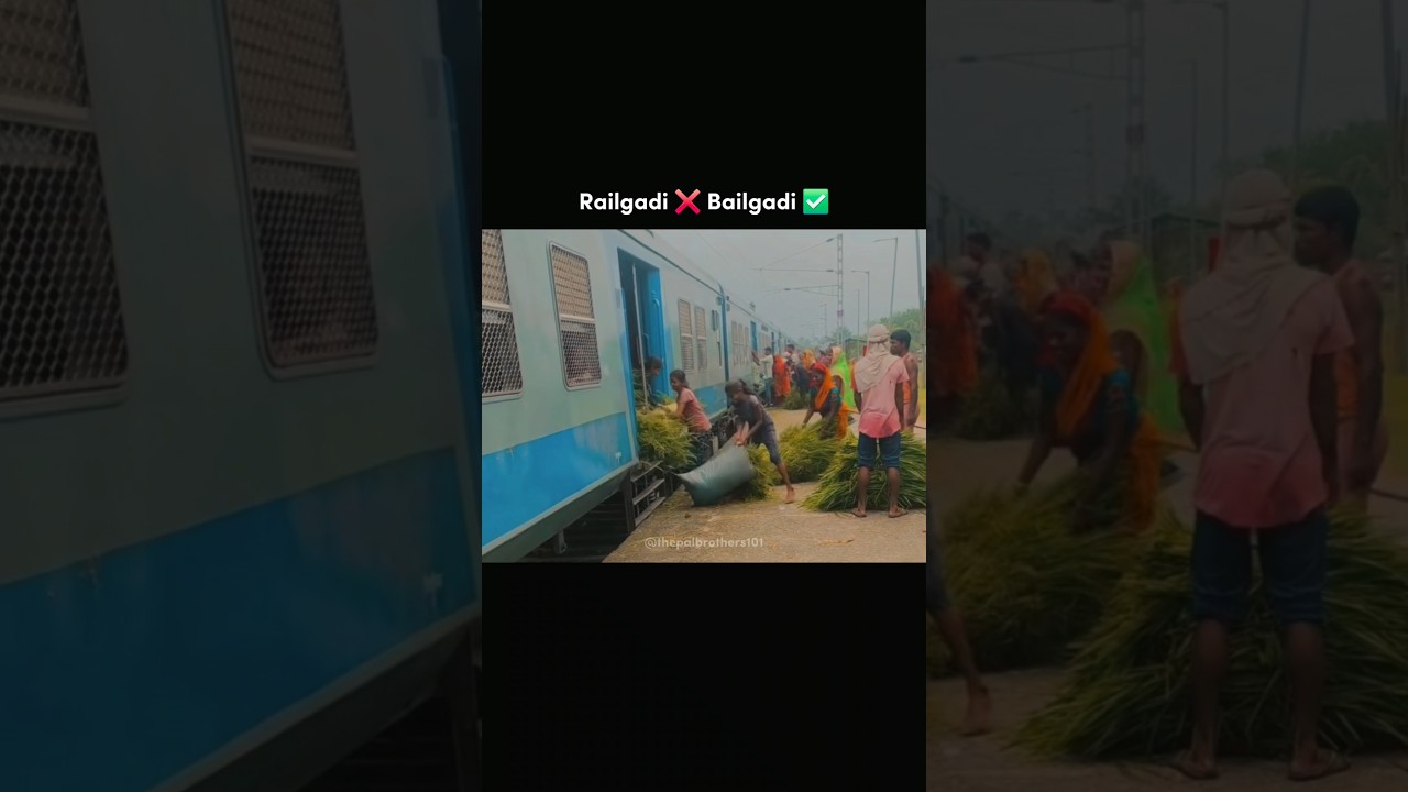 Что сказала Америка 😎