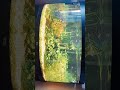 Aquarium 350l