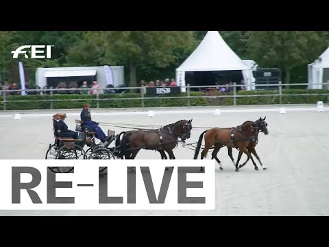 Dressage Competition Part 1 I FEI Driving European Championship Four in Hand