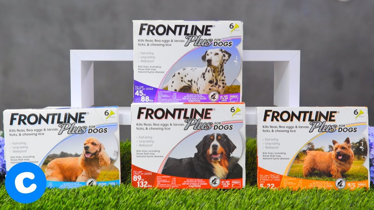 How Safe Is Frontline Plus For Dogs