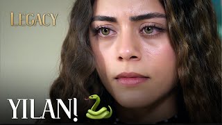 Canan'ın foyası ortaya çıktı | Emanet 305. Bölüm