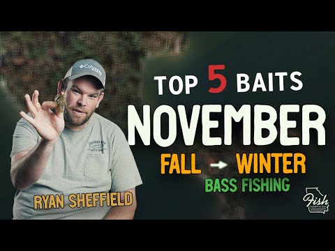 5 Best Baits for November Fall to Winter Bass Fishing