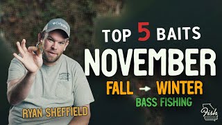 5 Best Baits For November Fall To Winter B Fishing
