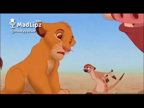 تيمون وبومبا - YouTube