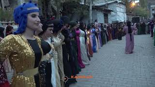 ŞEXANİ l Şemdinli Düğünleri l Fırat Ailesinin Mutlu Günü l Kurdish Dance