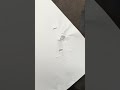 can a Minecraft sword break irl items?