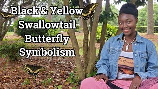 Black and Yellow Swallowtail Butterfly Spirit Animal Totem