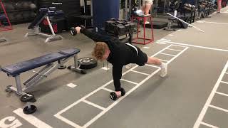 DB SA Alternating Reverse Fly from High Plank