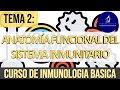 Anatomía Funcional del Sistema Inmune: Hematopoyesis, Órganos linfoides, Sistema Linfático.