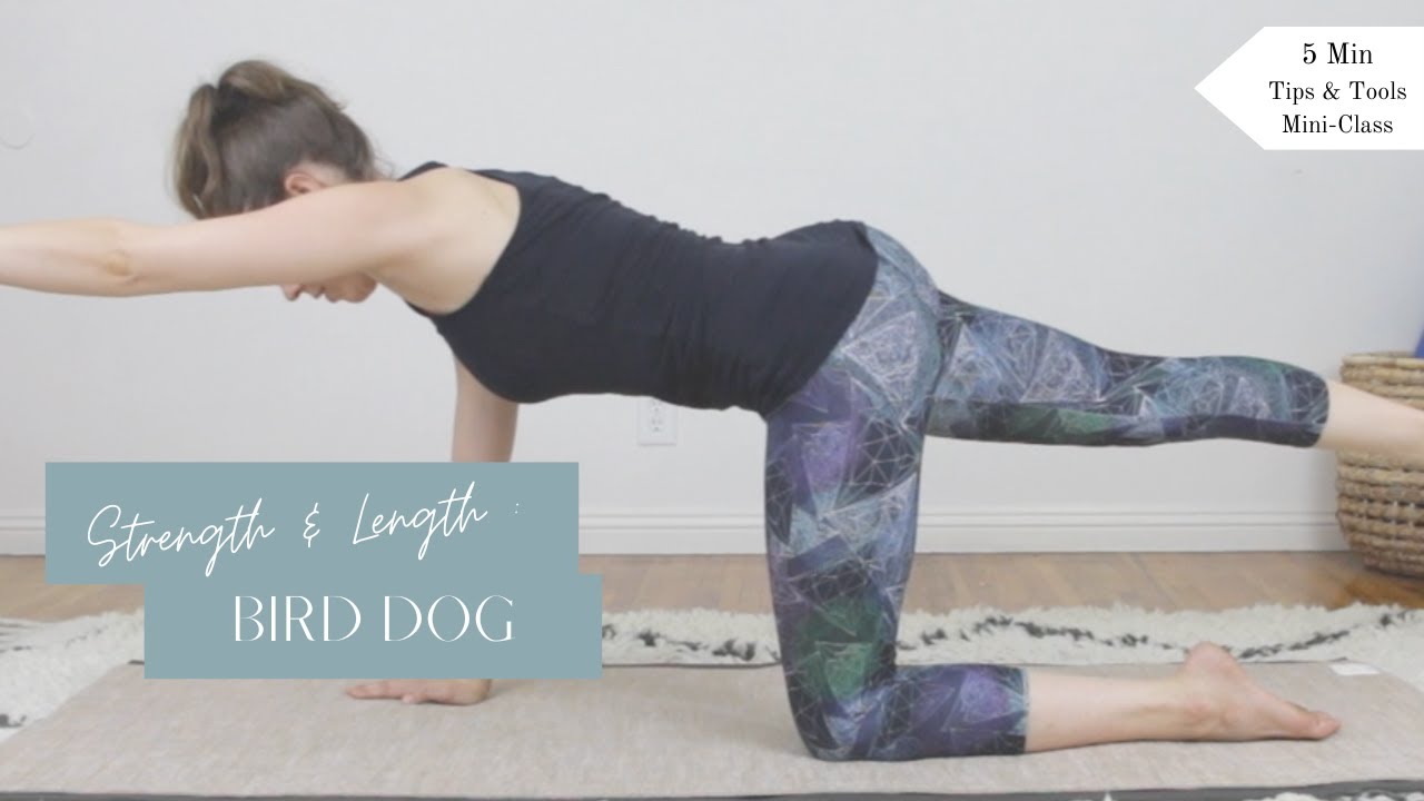 Pilates for Low Back Pain || 5 Minute Tips & Tools