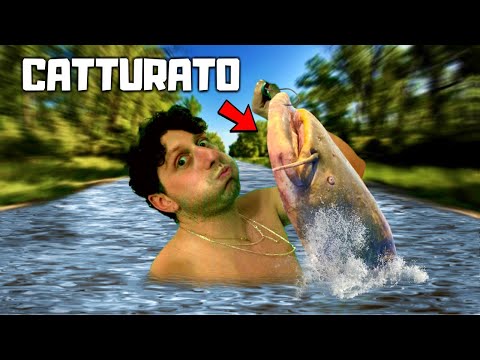 Video: Posso guardare le catture più letali?