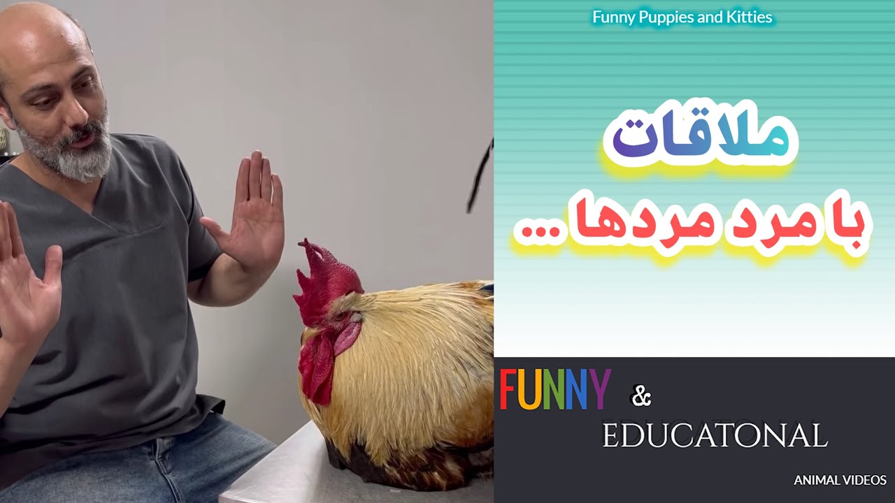 ملاقات با مرد مردها