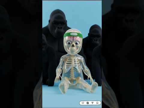 What happen If Your Parents were Gorilla 🦍