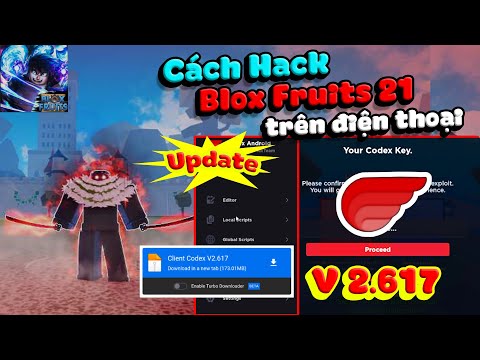 Cách Hack Blox Fruits 21 Trên Điện Thoại 