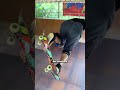 The Floripa Experience | Full Trip Video Now Playing