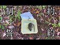 (閲覧注意)誓約を条件に解放されるネズミ2/2