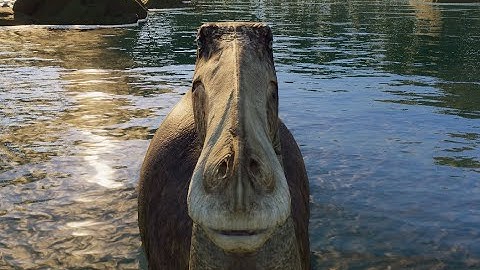 Day 230 of adding a Deinocheirus to this park until they