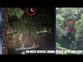 IMPOSSIBLE BIRD RESCUE! Stuck in a tree 20 feet above a canal!