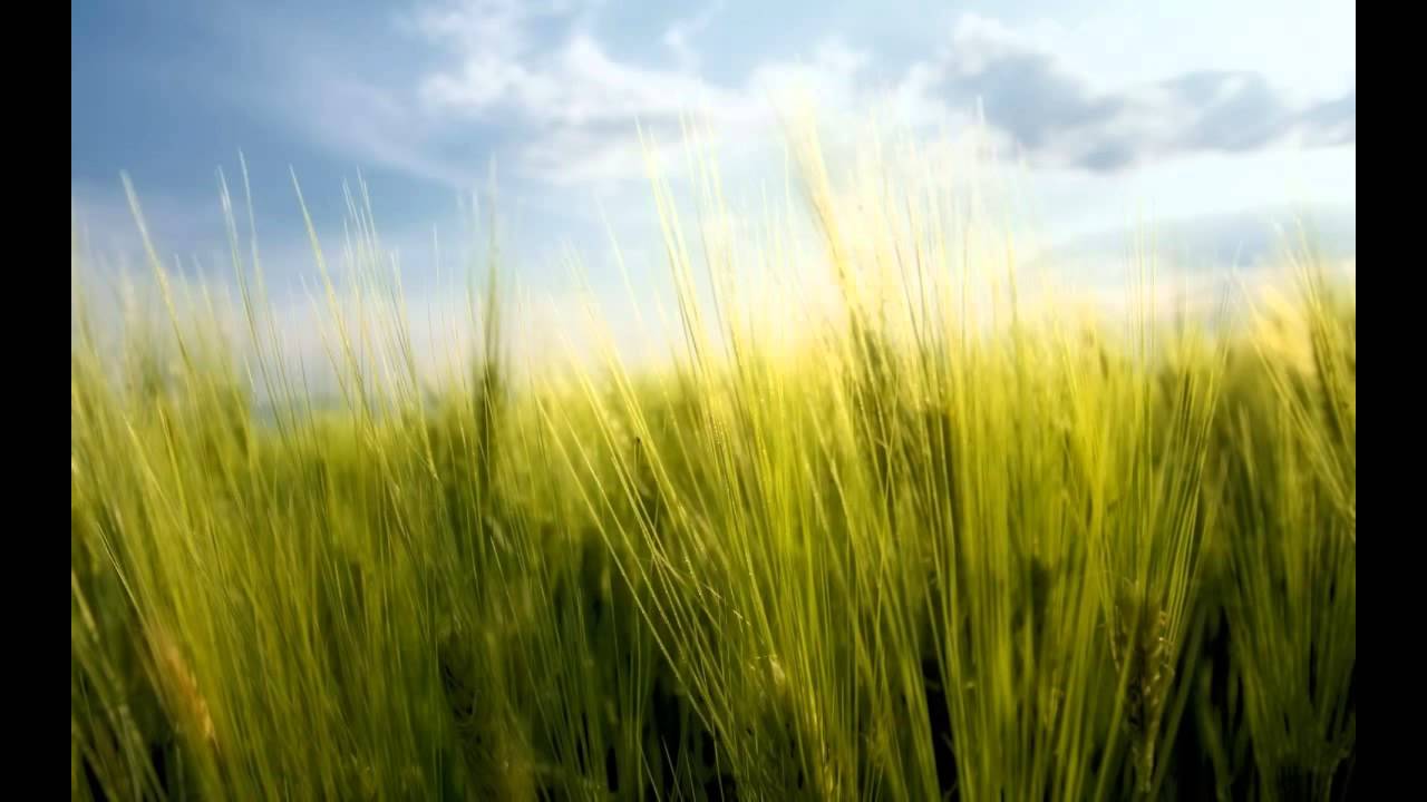 Ambient Trance Compilation - Melody of Synergy