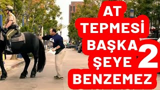 At Tepmesi Başka Şeye Benzemez 2