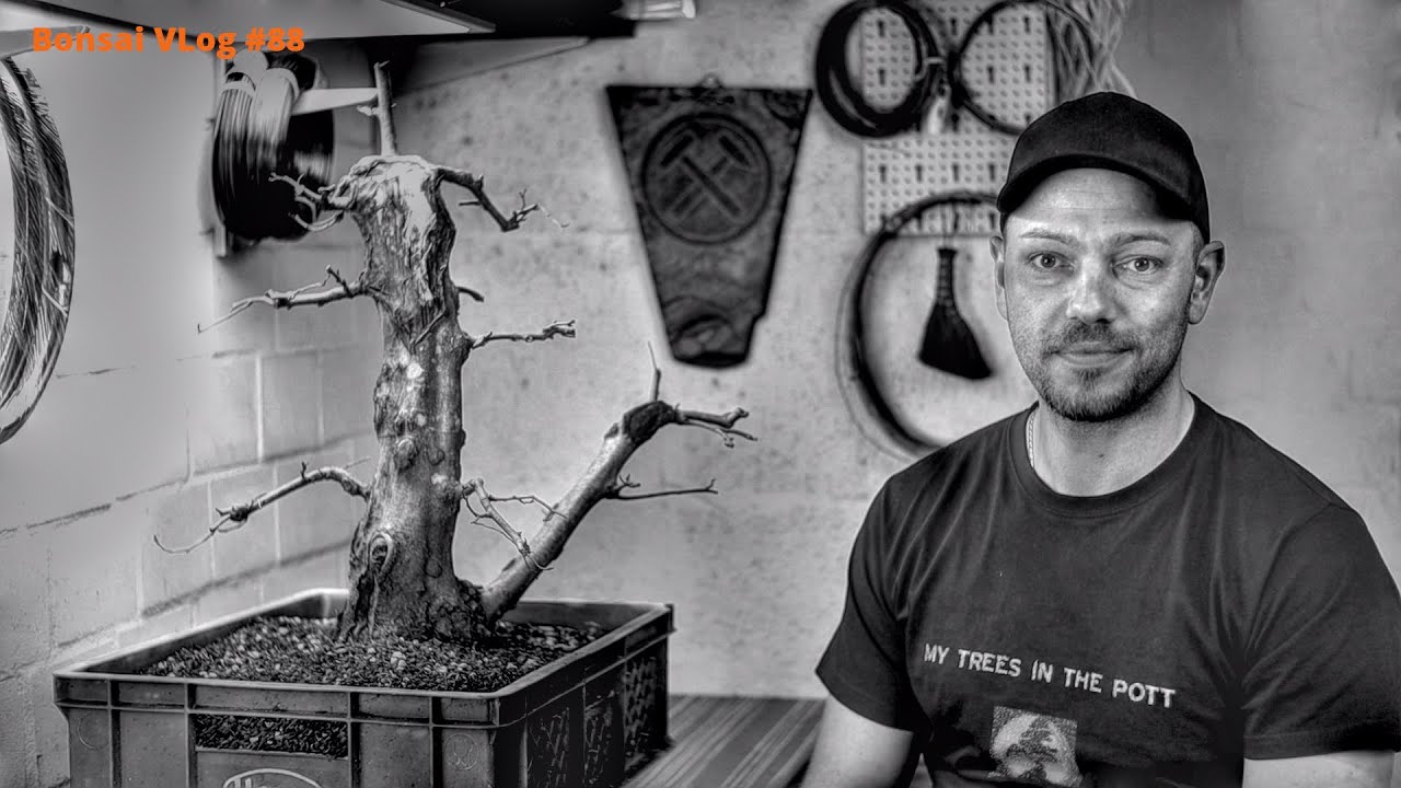 Das war's dann wohl, das letzte Video vom dicken Onkel [Tod] | Bonsai VLog #88