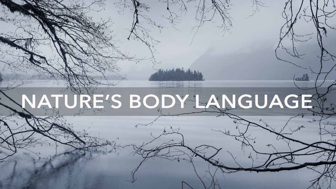 The Landscape Is Trying to Tell You Something