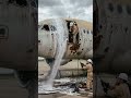 Reviving a Forgotten Aircraft Aircraft#airplanehangar#abandonedaircraft#airplanerestoration