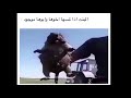 تحشيش موتو غيره يابناات اويلي مو شعر يجنن 