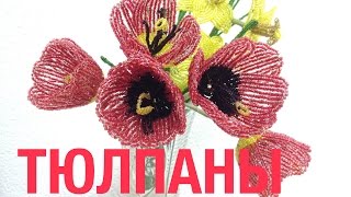 Тюльпаны из бисера. Beaded tulips. Мастер-класс по бисероплетению.(Цветы из бисера. Мастер-класс по бисероплетению. Biseropletenie Tulips out of beads., 2014-05-19T08:57:34.000Z)