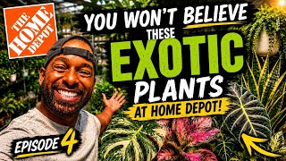 You NEED to See These Rare Plants at Home Depot!  (Episode 4)   