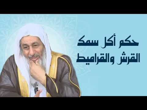 حكم أكل سمك القرش والقراميط الشيخ مصطفى العدوي فتواك هنا