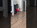 Funny yorkie #foryou #funny #usa🇺🇸 #tiktok #dog
