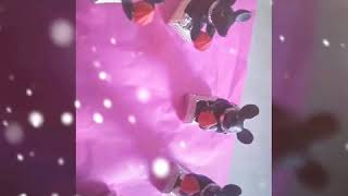 Radhamanis Silver Part 3