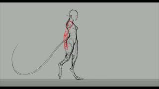 Bipedal Hybrid Walk Cycle Animation