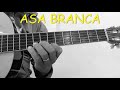 ASA BRANCA-SOLO DE VIOLÃO PARA INICIANTE