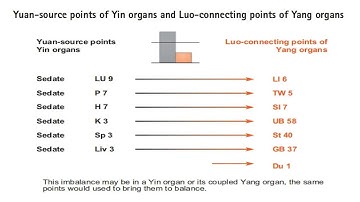 YUAN-SOURCE & LUO-CONNECTING POINTS IN ACUPUNCTURE