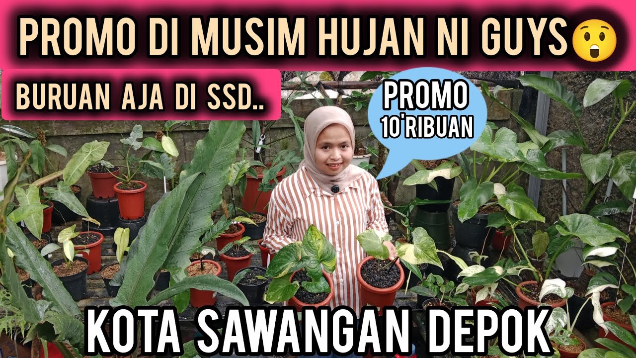 PROMO DI MUSIM HUJAN  NI GUYS😲PROMO 10-RIBUAN ‼️BURUAN AJA DI SSD⁉️KOTA SAWANGAN DEPOM