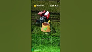 Petani Milenial Pilar Ketahanan Pangan Indonesia