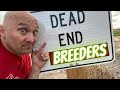 Find a Good Breeder // 9 Things to Avoid