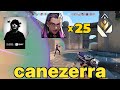 ENVY canezerra - PUSH PUSH PUSH 400 ACS 250 ADR | Reyna on Breeze