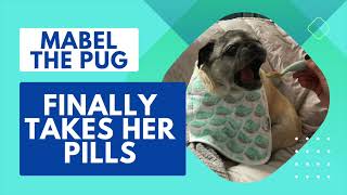 Dog Pill Disguise: How We Finally Got Mabel the Pug to Take Her Pills by FurLife 457 views 8 months ago 1 minute, 9 seconds