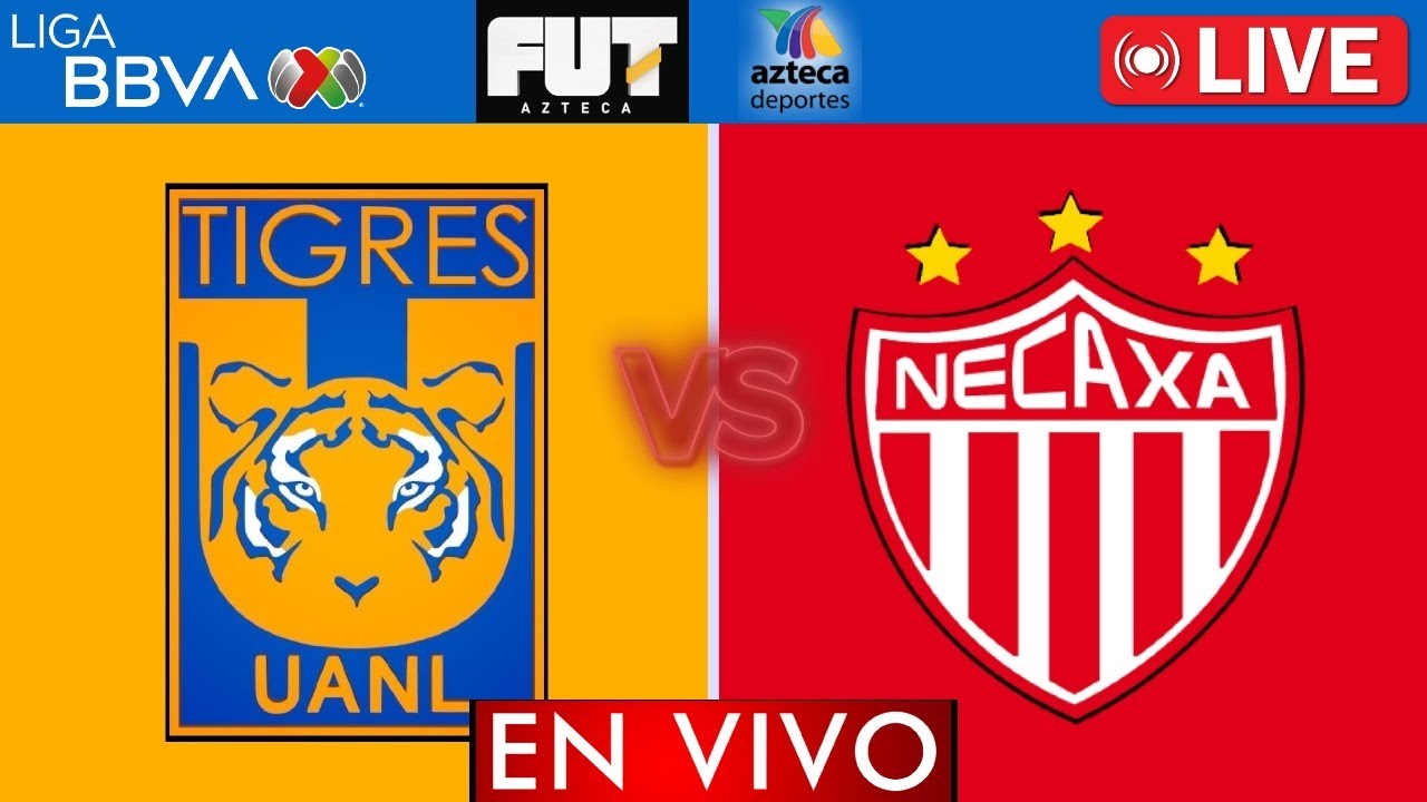 Tigres vs Necaxa EN VIVO | Jornada 13 Liga MX 2025 | APERTURA 2025 ...