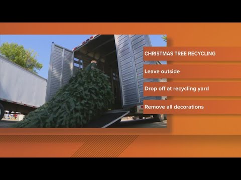 Christmas Tree Recycling | How to get rid of trees in Sacramento - YouTube