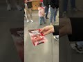 Пред почетак утакмице, звездашице су могле преузети ваучере за попуст на прегледе у МР Чукарица🔴⚪️