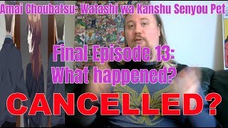 Amai Choubatsu: Watashi wa Kanshu Senyou Pet Final Episode 13: What happened? CANCELLED?