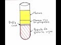 ¿Cómo ENGAÑAN con el Plasma rico en Plaquetas?