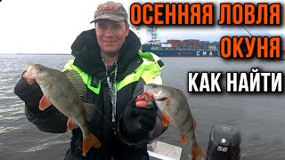 видео: Осенняя ловля окуня, как найти. картинка: Осенняя ловля окуня, как найти.