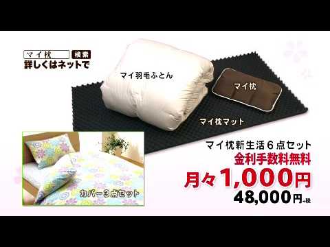 枕 マイ