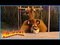 Dreamworks madagascar  alex the trapeze king  madagascar 3 europes most wanted  kids movies